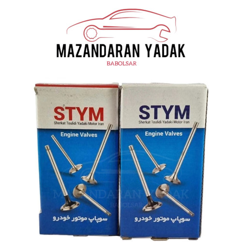 سوپاپ تعمیری ۴۰۵ ویکرام